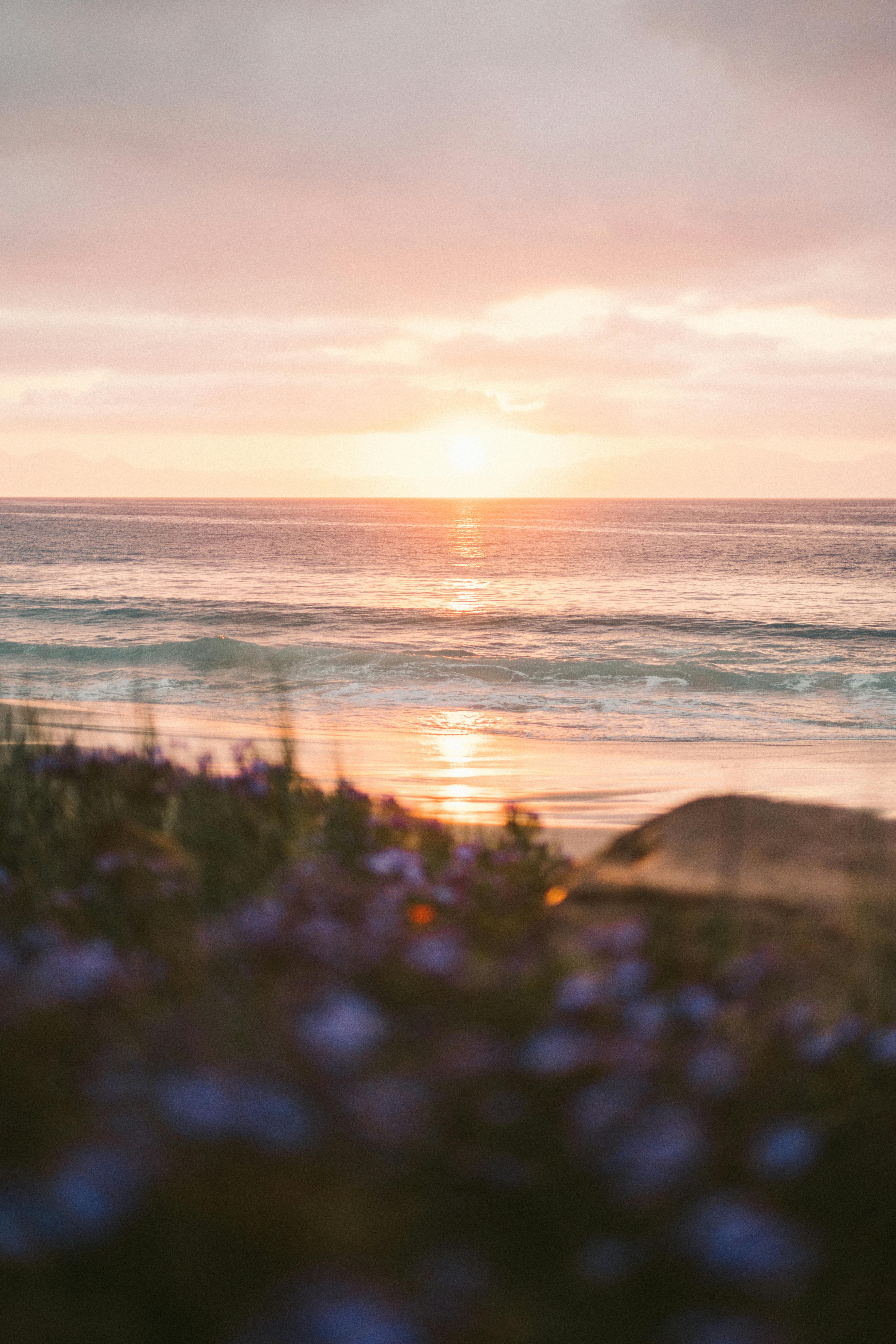 A peaceful beach sunset with waves gently crashing, framed by foreground flowers.