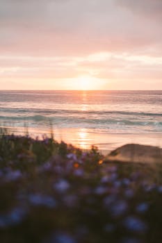 A peaceful beach sunset with waves gently crashing, framed by foreground flowers.