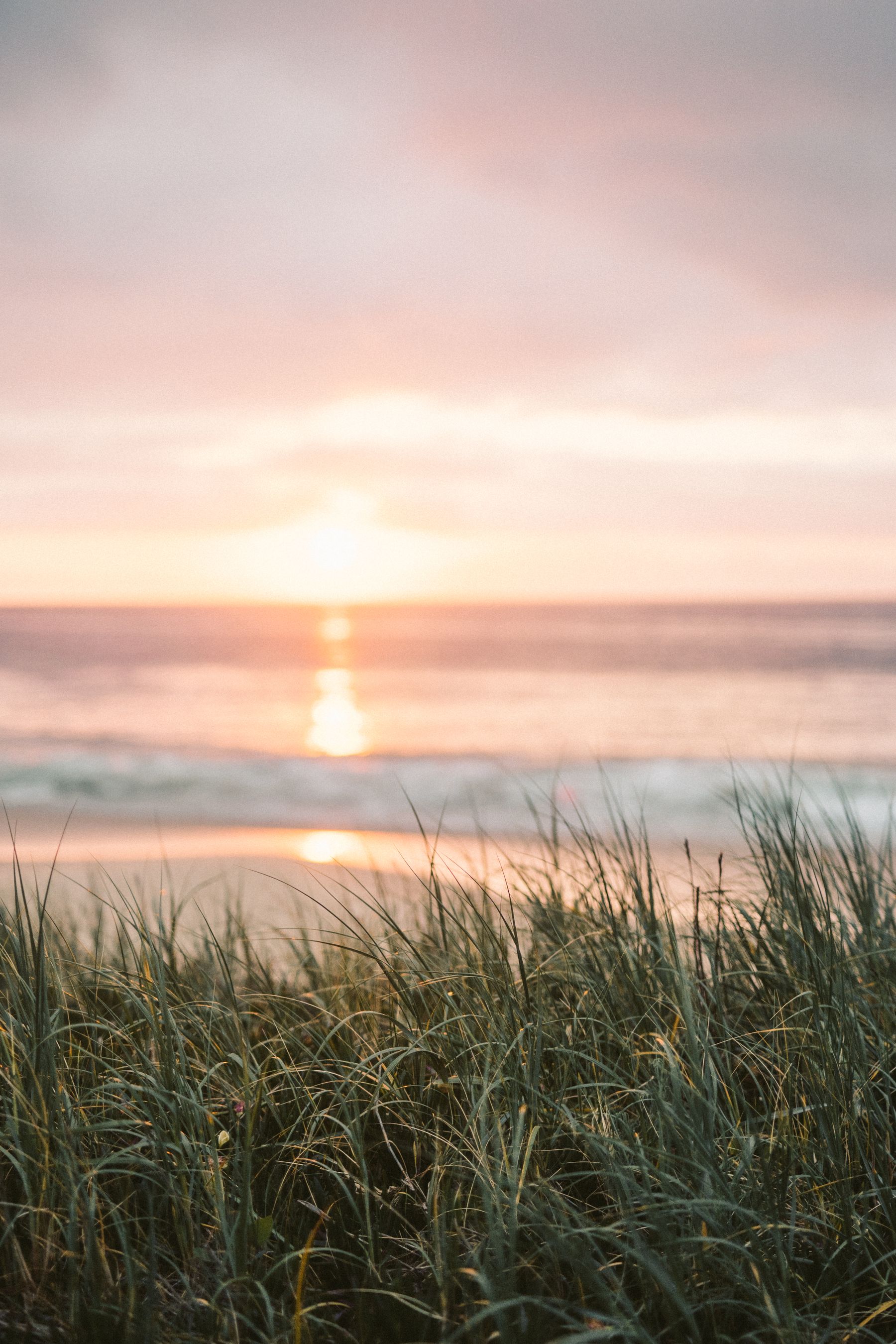 Soft sunrise over a peaceful beach with coastal grass and gentle ocean light