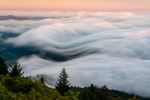 White Clouds Flowing Over Trees