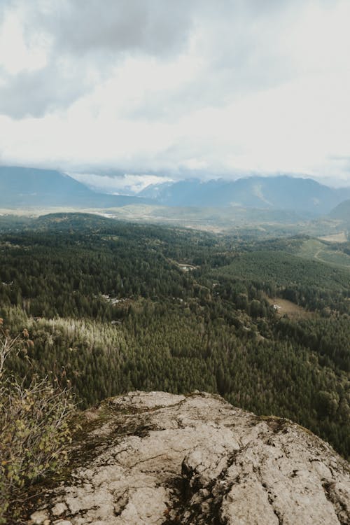 免費 垂直拍攝, 天性, 懸崖岩 的 免費圖庫相片 圖庫相片