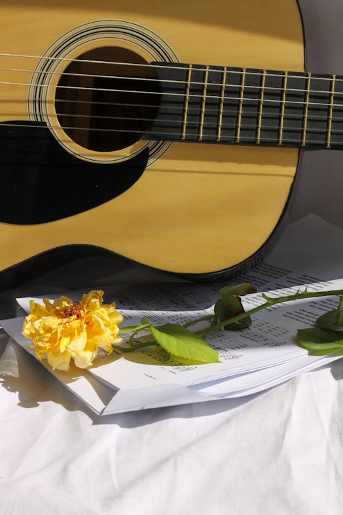 Free Photo of a Yellow Flower Near an Acoustic Guitar Stock Photo