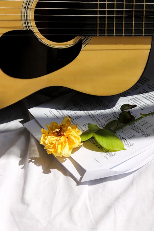 Kostnadsfri bild av akustisk gitarr, blomma, musikalisk komposition