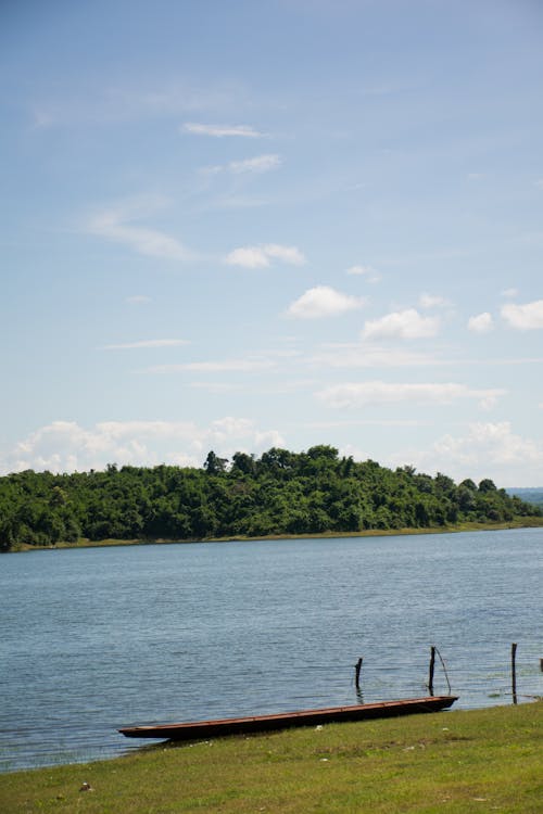 Foto profissional grátis de ancorado, árvores, barco