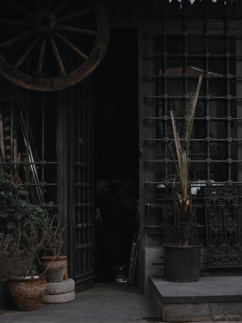 bezplatná Základová fotografie zdarma na téma dřevěné dveře, hrnkové rostliny, kovový rám Základová fotografie