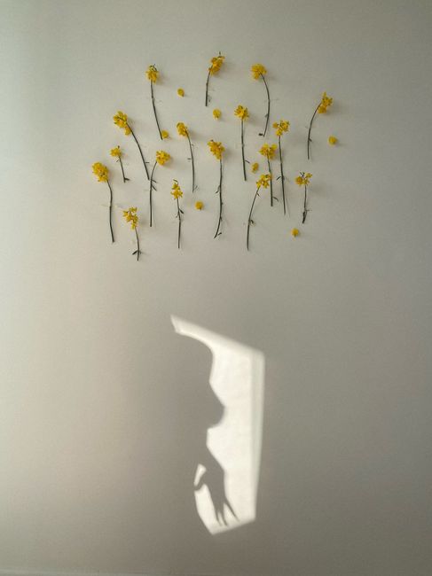 Aesthetic wall decor with yellow flowers and a mysterious shadow silhouette on a neutral background.