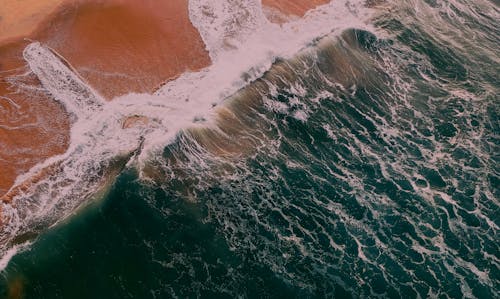 Free Aerial View Photography of Beach Stock Photo