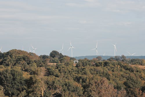 Windmills Neat Green Trees Under White Sky