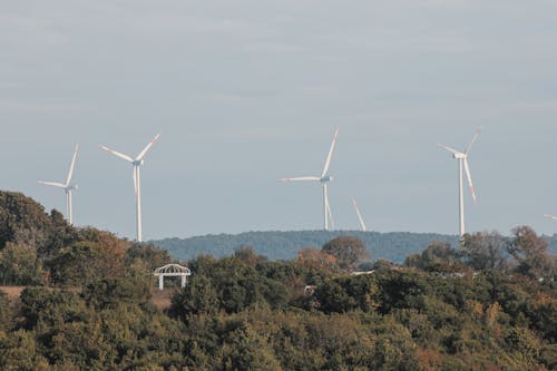 Kostenloses Stock Foto zu alternative energie, bäume, elektrizität