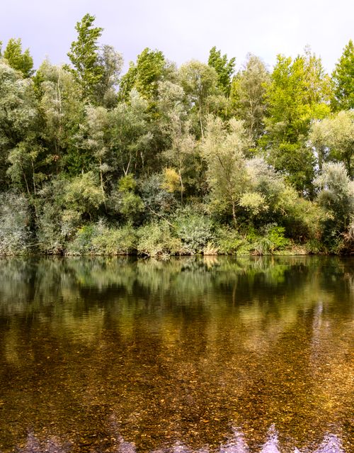 Free Calm river reflecting lush green trees in rural Spain, creating a peaceful natural landscape. Stock Photo