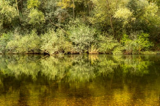 Peaceful river scene in Spain showcasing lush green trees reflecting on calm water.