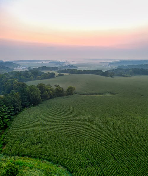 Foto profissional grátis de agricultura, alvorecer, área