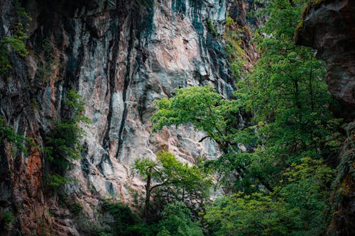 Безкоштовне стокове фото на тему «вродлива, геологічна формація, дерева»