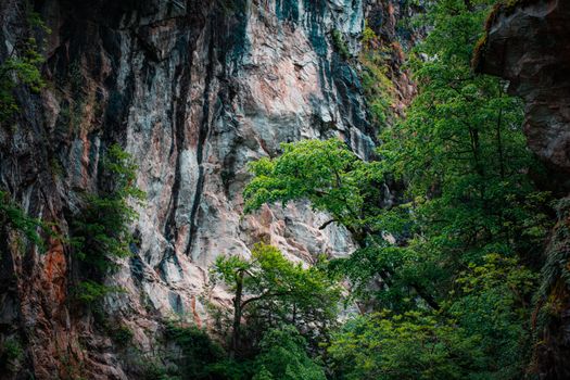 Scenic view of lush green trees against towering rocky cliffs in Auvergne-Rhône-Alpes.