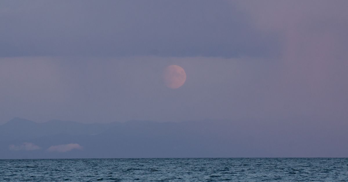 Moon's Water Supply Could Sustain One City for a Century, Report Says