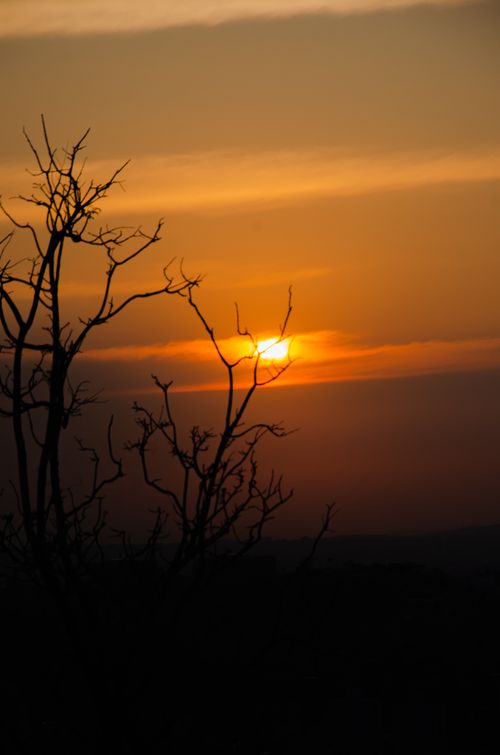 Free stock photo of evening sun, golden sun Stock Photo