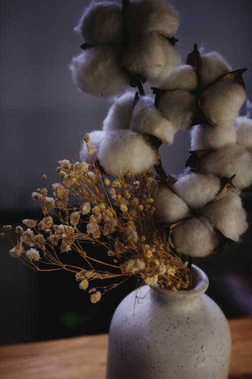 Dried Flowers in White Ceramic Vase