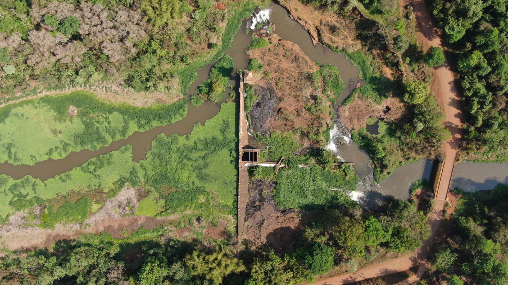 Aerial view of a vibrant river landscape in Brazil with green vegetation and flowing water.