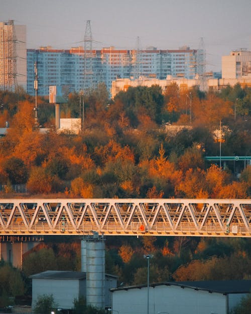 White Bridge over Autumn Trees