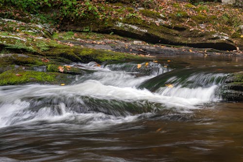 Free Cascading Water in a Rocky Stream Stock Photo