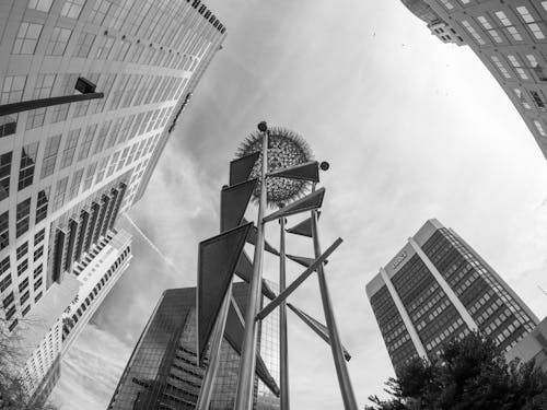 Grayscale Photo of High Rise Buildings