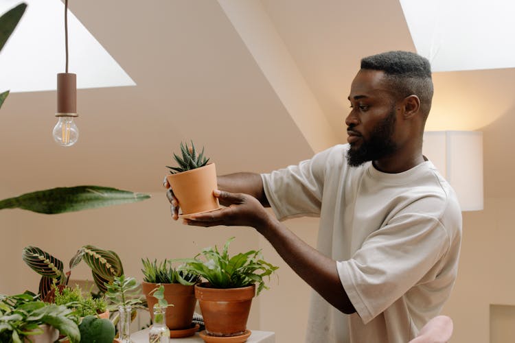 A Man Looking At A Potted Plant