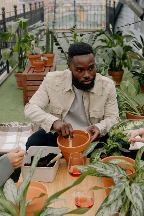Free African American man tending plants with friends in a cozy indoor garden setting. Stock Photo