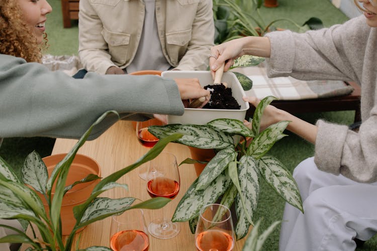 A Group Of People Planting Plants