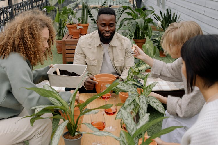 People Planting Plants