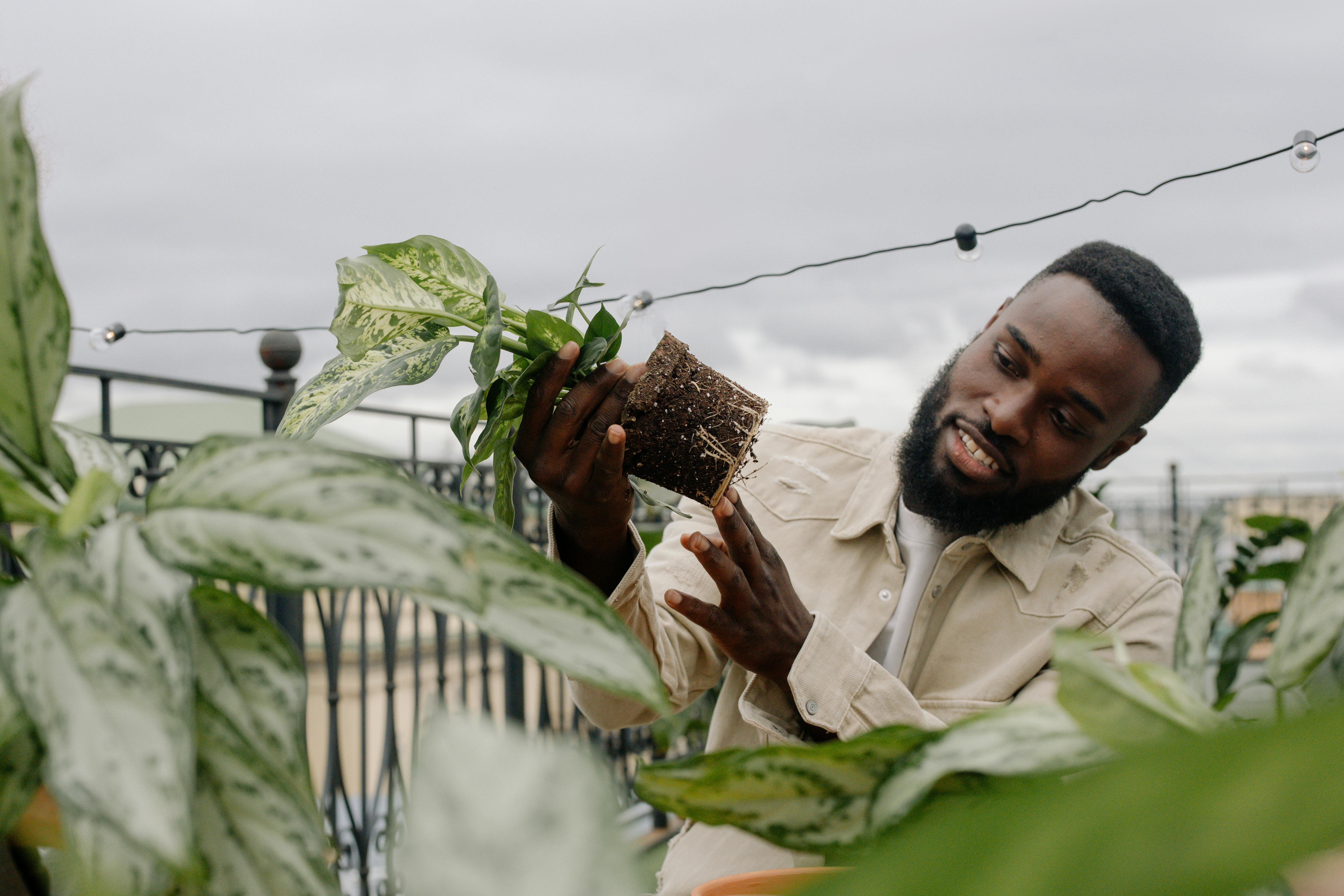 A Man in Beige Jacket Looking at the Potted Plant he is Holding