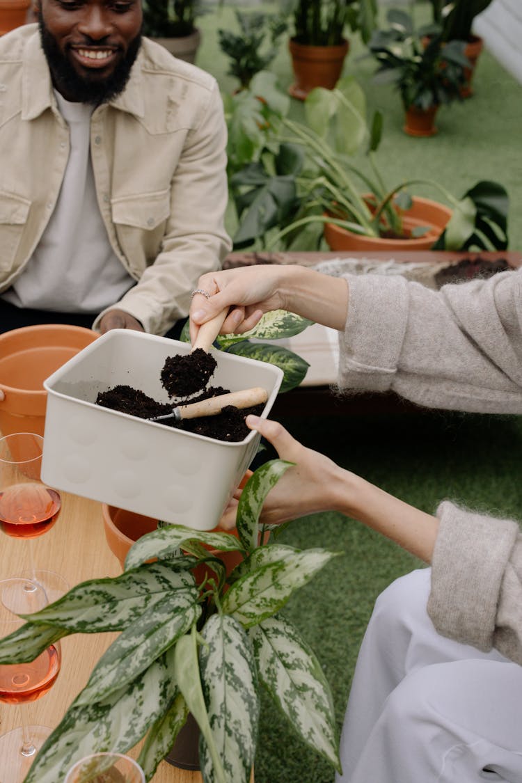 A Person Getting A Soil