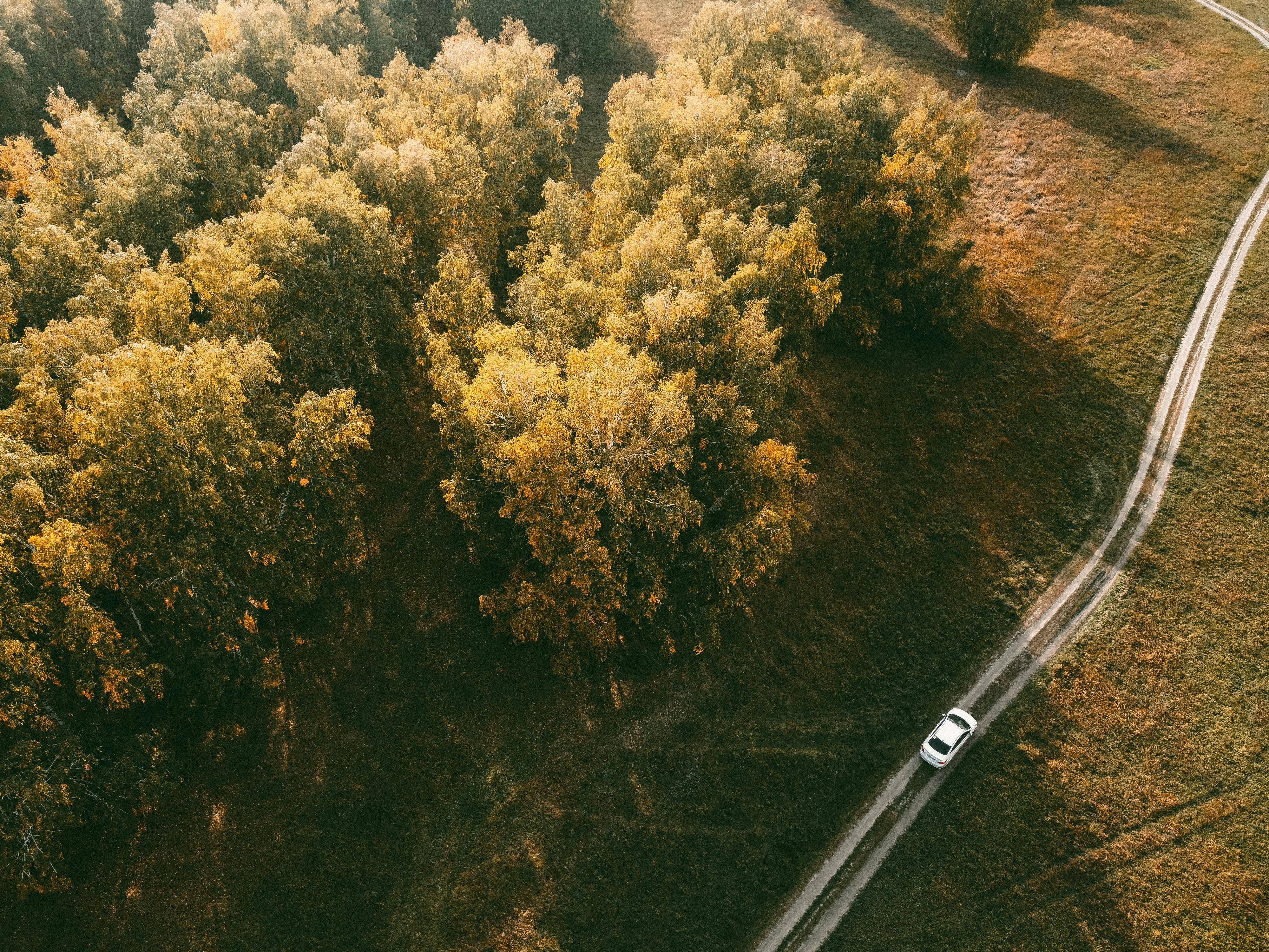 Remote Vehicle Diagnostics with AWS IoT FleetWise and Amazon Connect — Photo by Евгений Шухман on Pexels