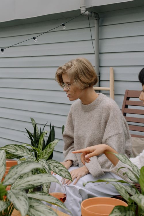 Free Two women enjoy a relaxing indoor gardening session with various potted plants. Warm and inviting setting. Stock Photo