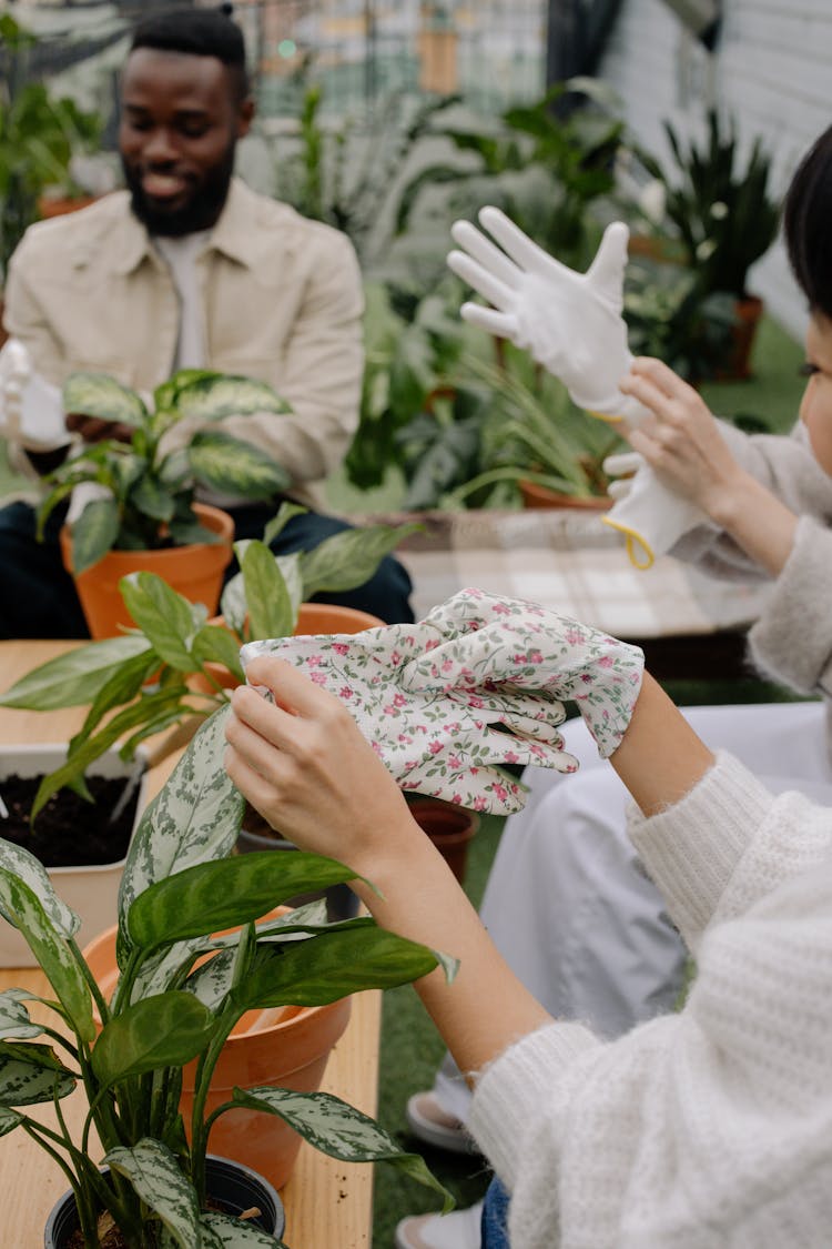 A Group Of People Enjoy Gardening