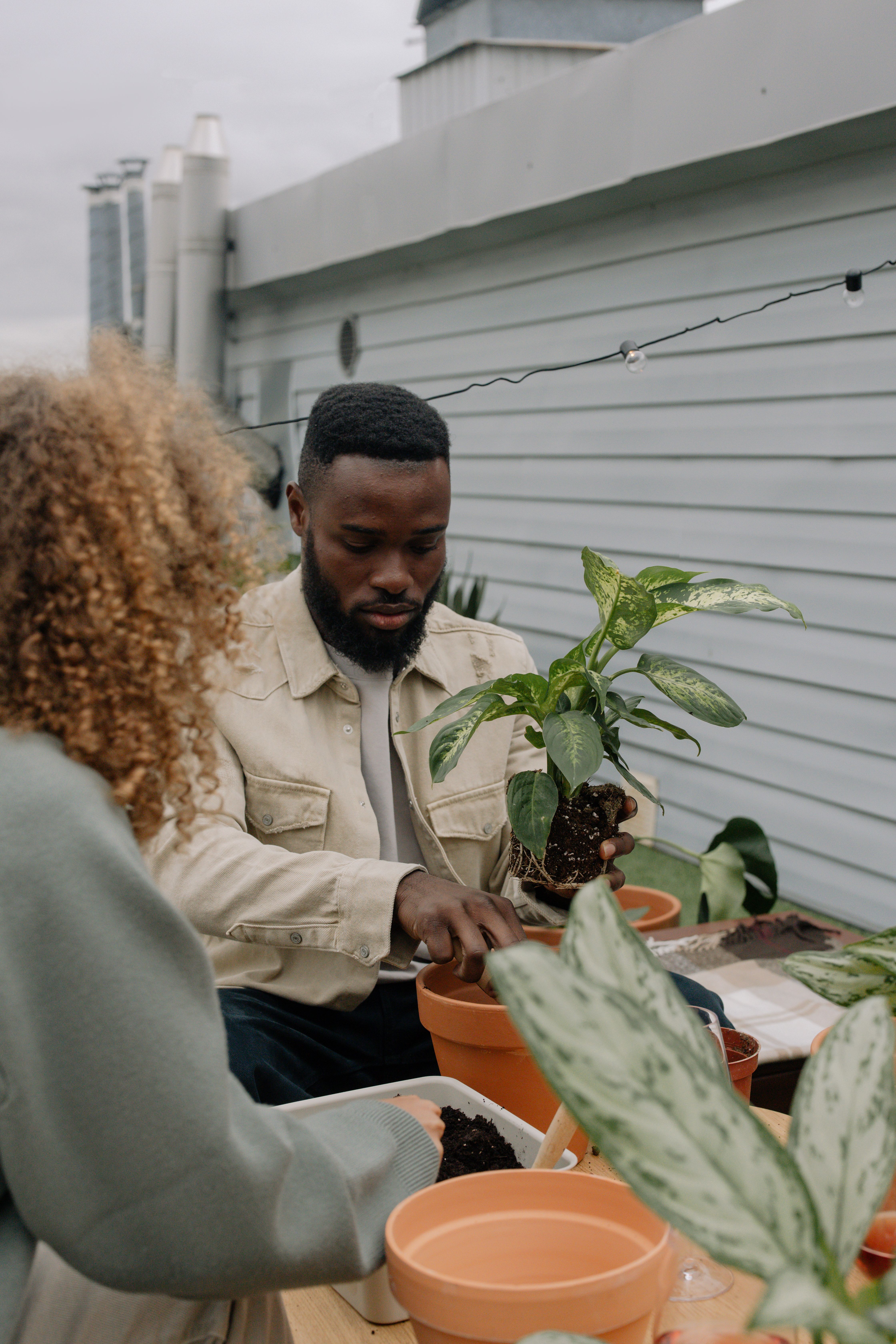 Man and Woman Planting Plants into Flowerpots · Free Stock Photo