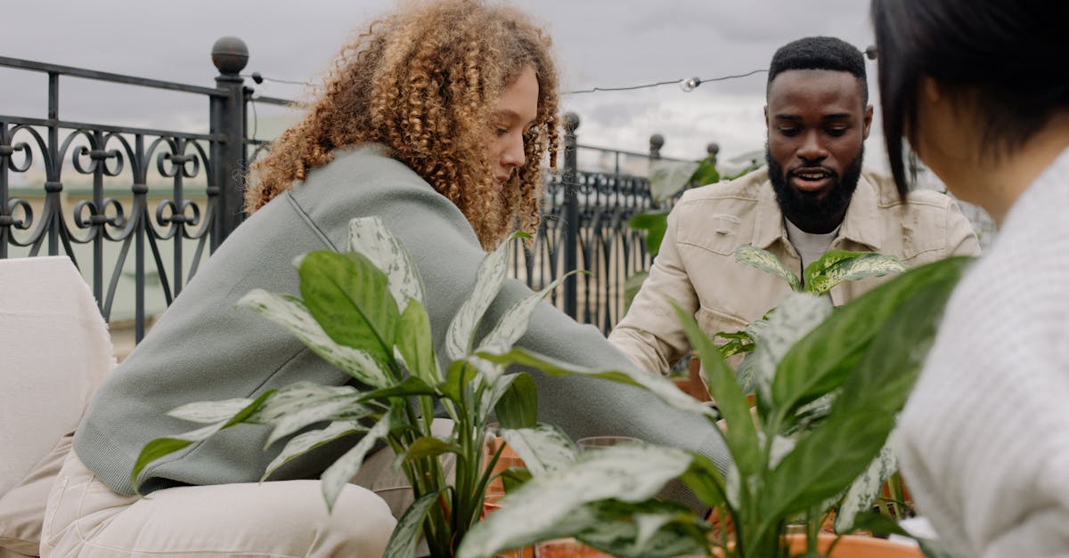 Micro-Jardinage : Importance de l'Observation