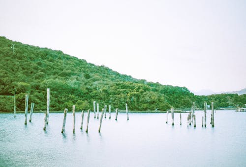 Základová fotografie zdarma na téma dřevěný, jezero, kopec