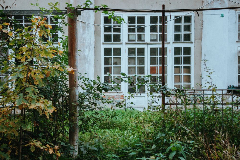 Vegetación descontrolada delante de un edificio antes del desbroce