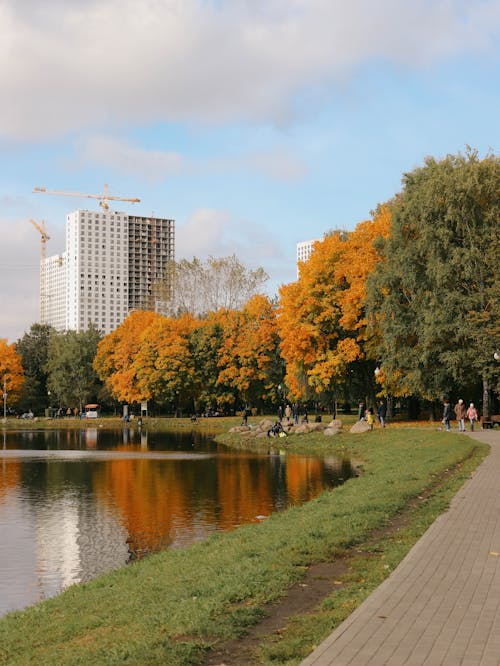 People Enjoying the Day in the Park