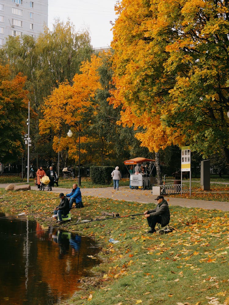 People Sitting On Grass In The Park Fishing