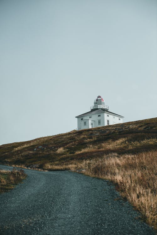 Gratis lagerfoto af asfalt, bakke, efterår