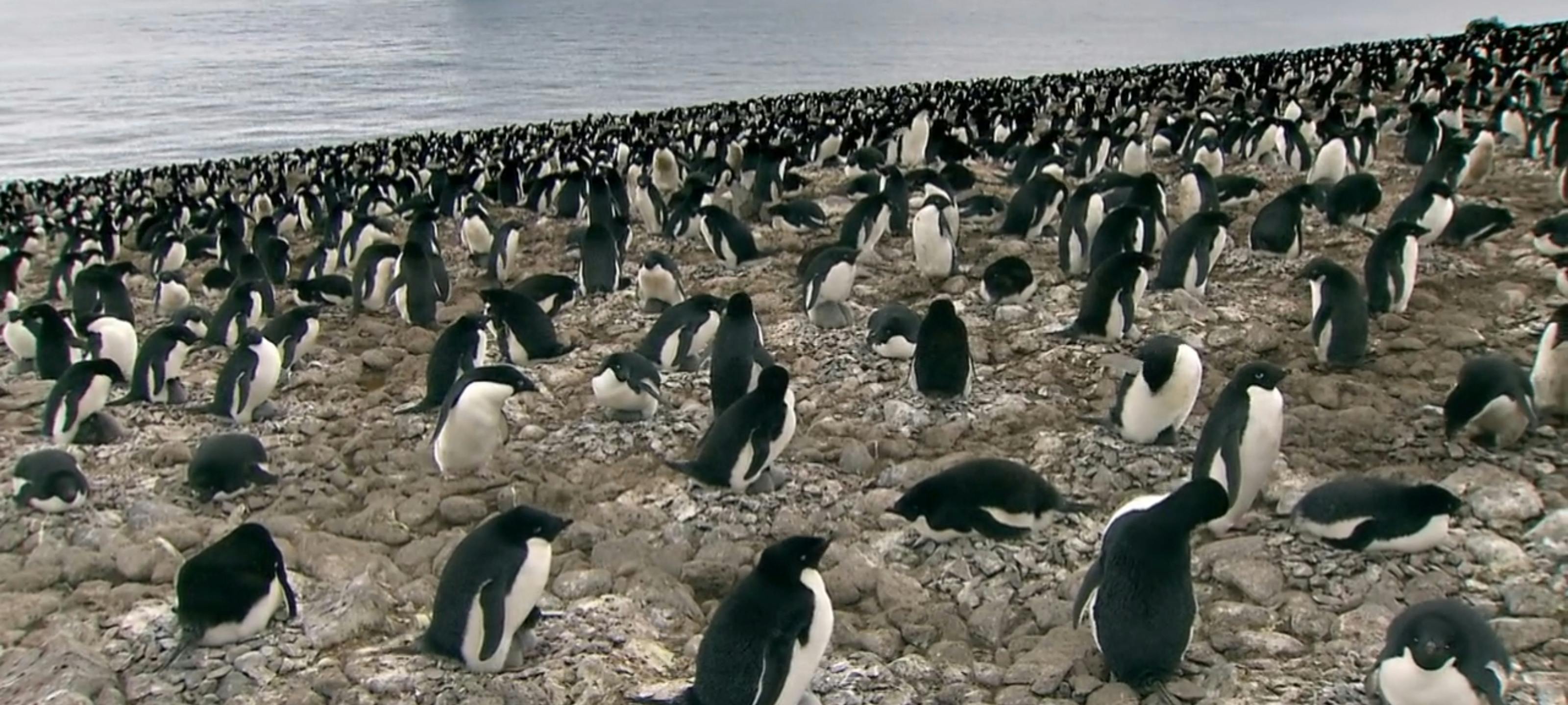 Seaweed on a sandy beach, representing sea moss and other sea vegetables