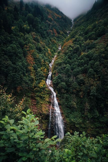 A stunning waterfall flows through a dense, vibrant forest enveloped in mist, creating a serene nature scene.