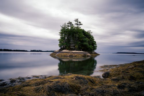 Immagine gratuita di acqua, isola, lago