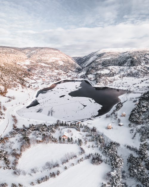 Fotos de stock gratuitas de congelando, cubierto de nieve, escarchado