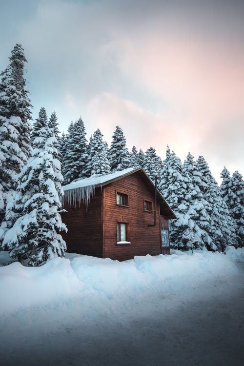 Free Wooden cabin amidst snow-covered trees, serene winter landscape. Stock Photo
