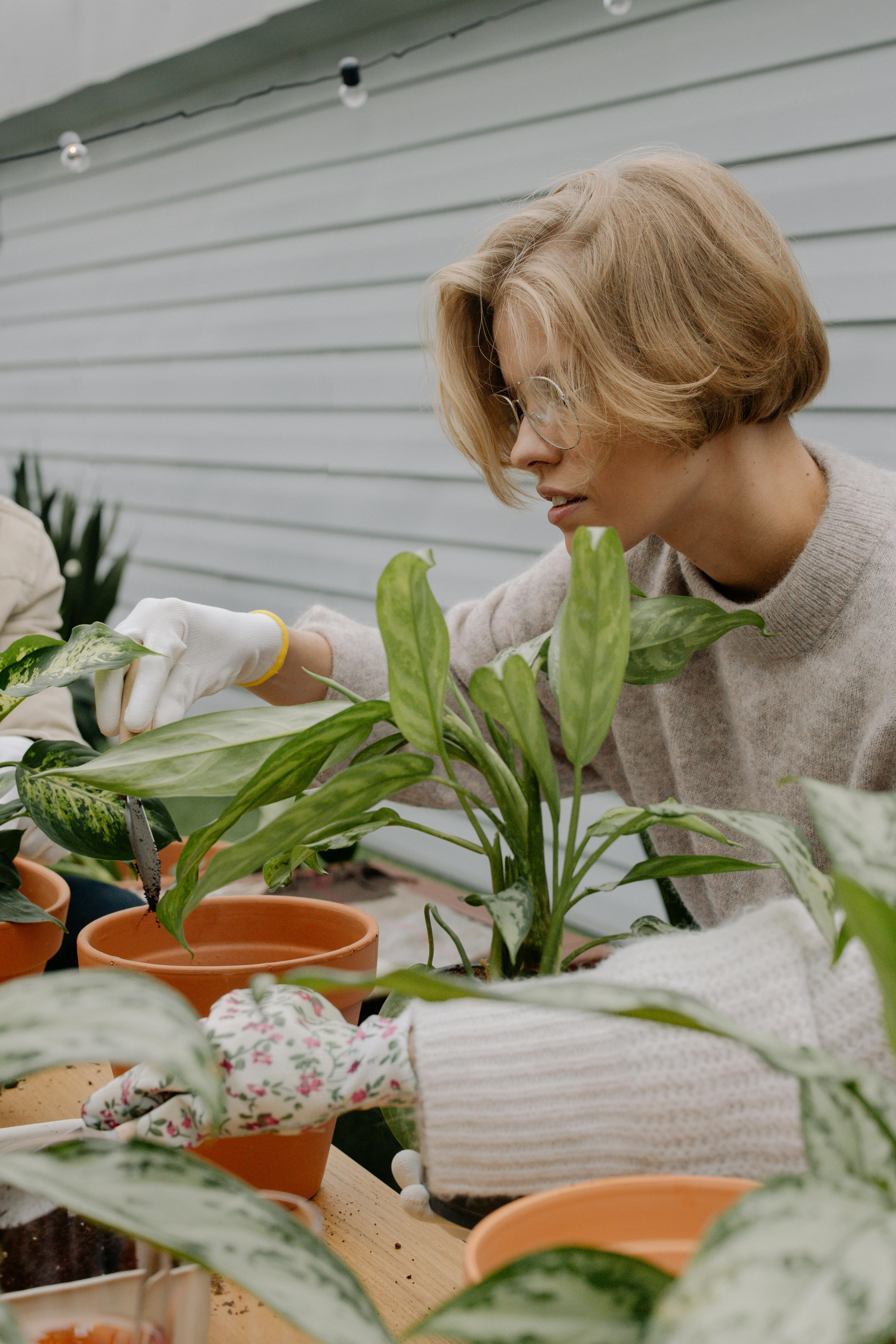 Close-up of floral gardening gloves holding plants