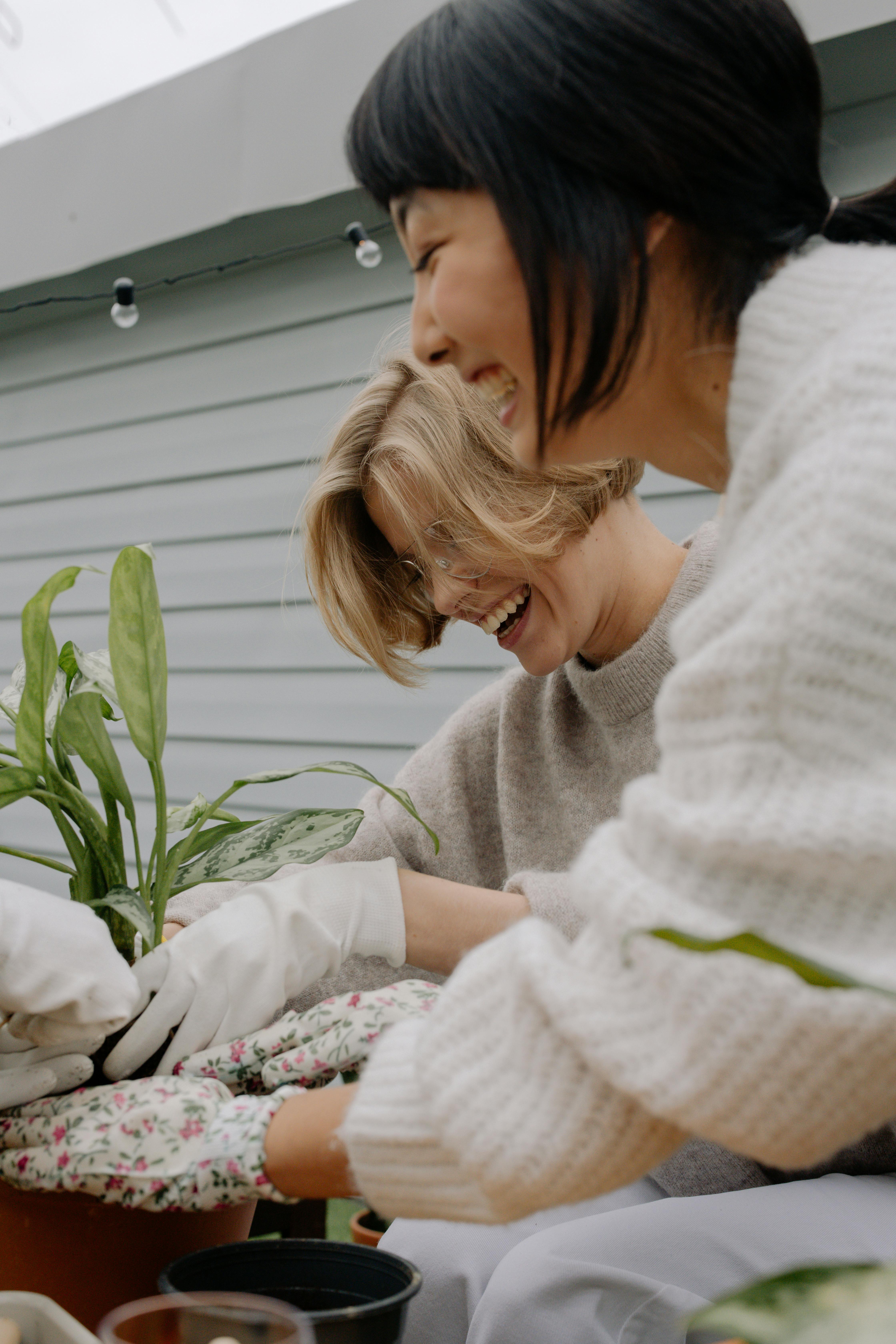 women doing planting together