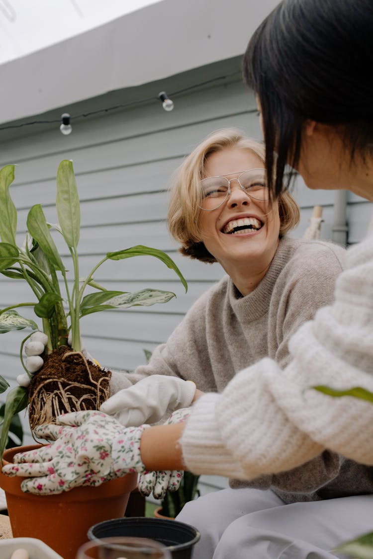 Friends Doing Gardening Together