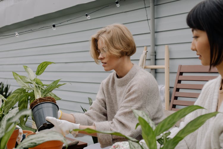 A Woman Repotting A Plant